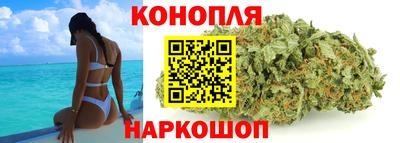 ECSTASY Обь