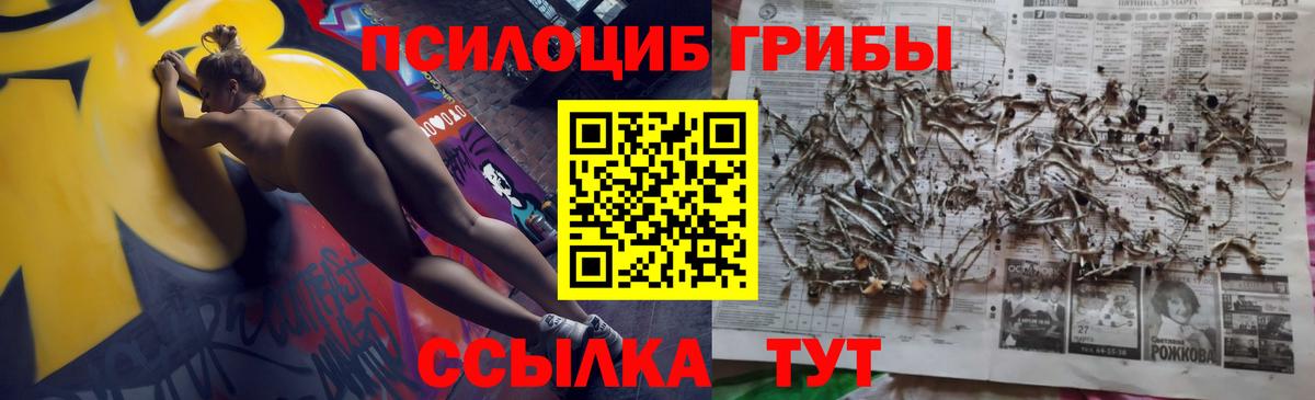Псилоцибиновые грибы мицелий  Вход с VPN  Псилоцибиновые грибы мухоморы  Унеча 